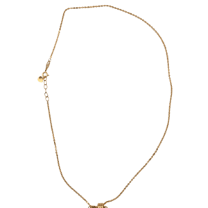 Necklace ( With Pin Charm )