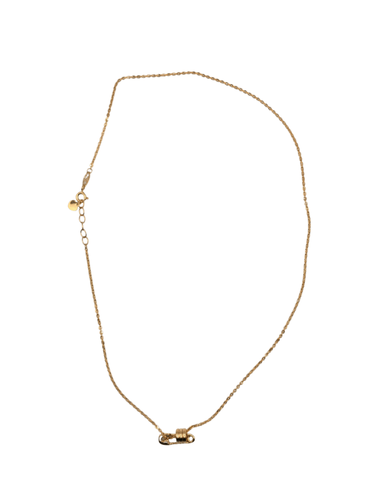 Necklace ( With Pin Charm )