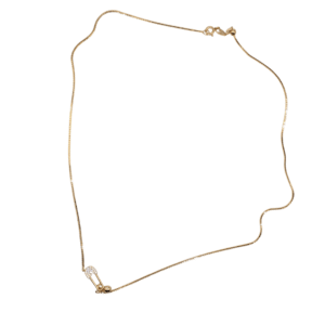 Neklace ( With Pin Charm )